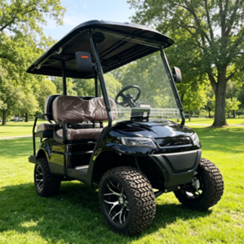 도로주행 가능 골프 카트 버기 관광용 전기 골프 카트  - Golf Bag Stand Cart 리뷰 및 가격
