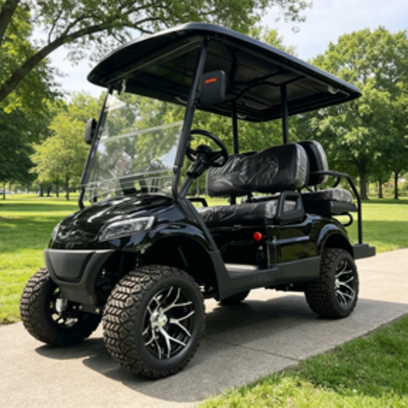 도로주행 가능 골프 카트 버기 관광용 전기 골프 카트  - Golf Bag Stand Cart 리뷰 및 가격