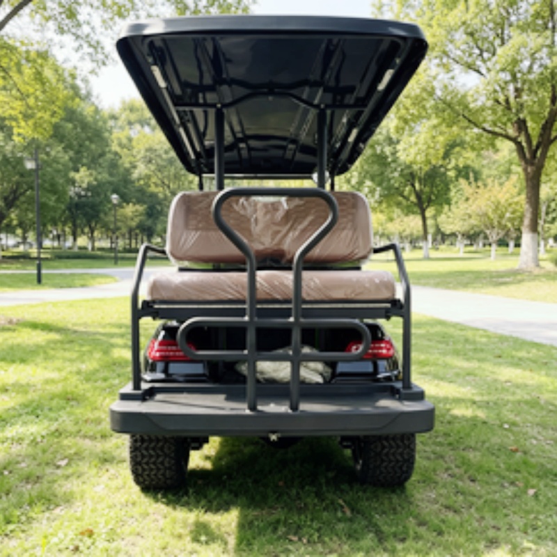 도로주행 가능 골프 카트 버기 관광용 전기 골프 카트  - Golf Bag Stand Cart 리뷰 및 가격